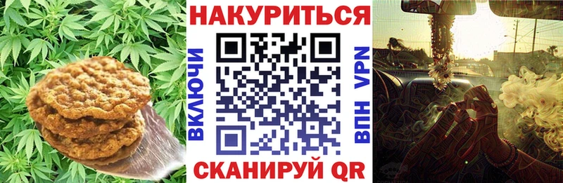 Canna-Cookies марихуана  Невинномысск 