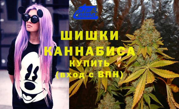 сатива Алексин